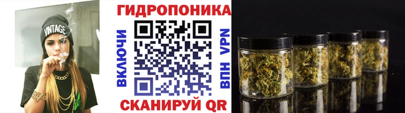 купить наркоту  hydra   Бошки марихуана THC 21%  Козьмодемьянск 